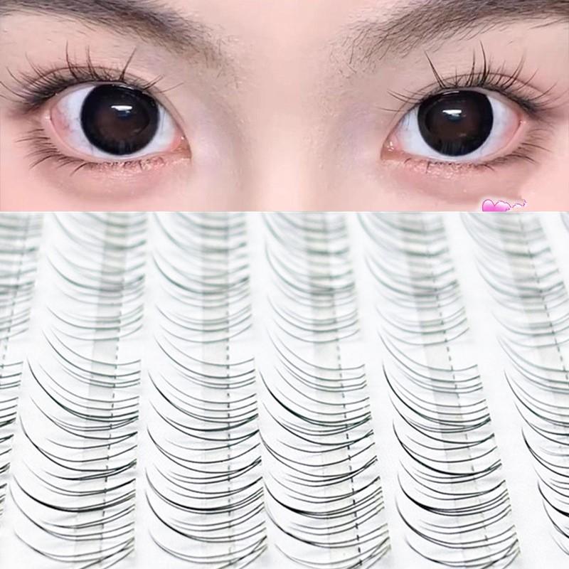 Eyelash Extension Volume Lashes - Fox Eye Wispy Cluster Lash Extensions