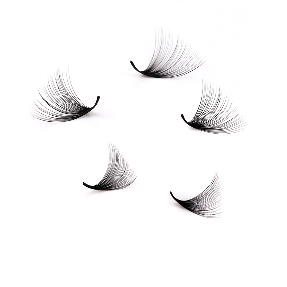 Lashprofessor XL Tray 3D 4D 5D - مراجعة Eyelash Extension Mega Volume وسعره