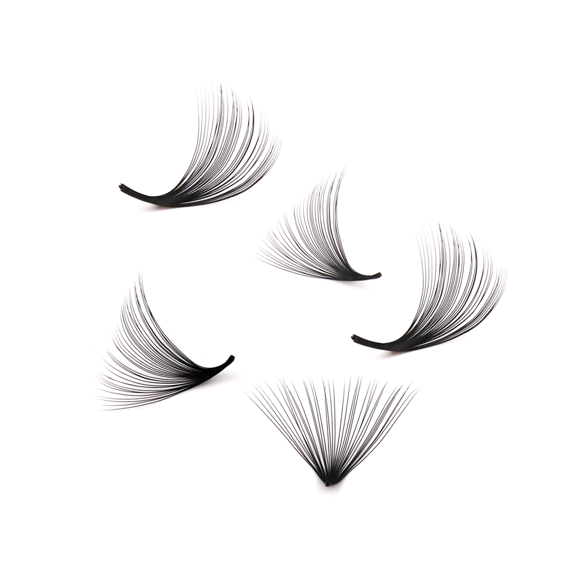 Aguud 2500 Fans Loose Fans Poi - مراجعة Eyelash Extension Mega Volume وسعره