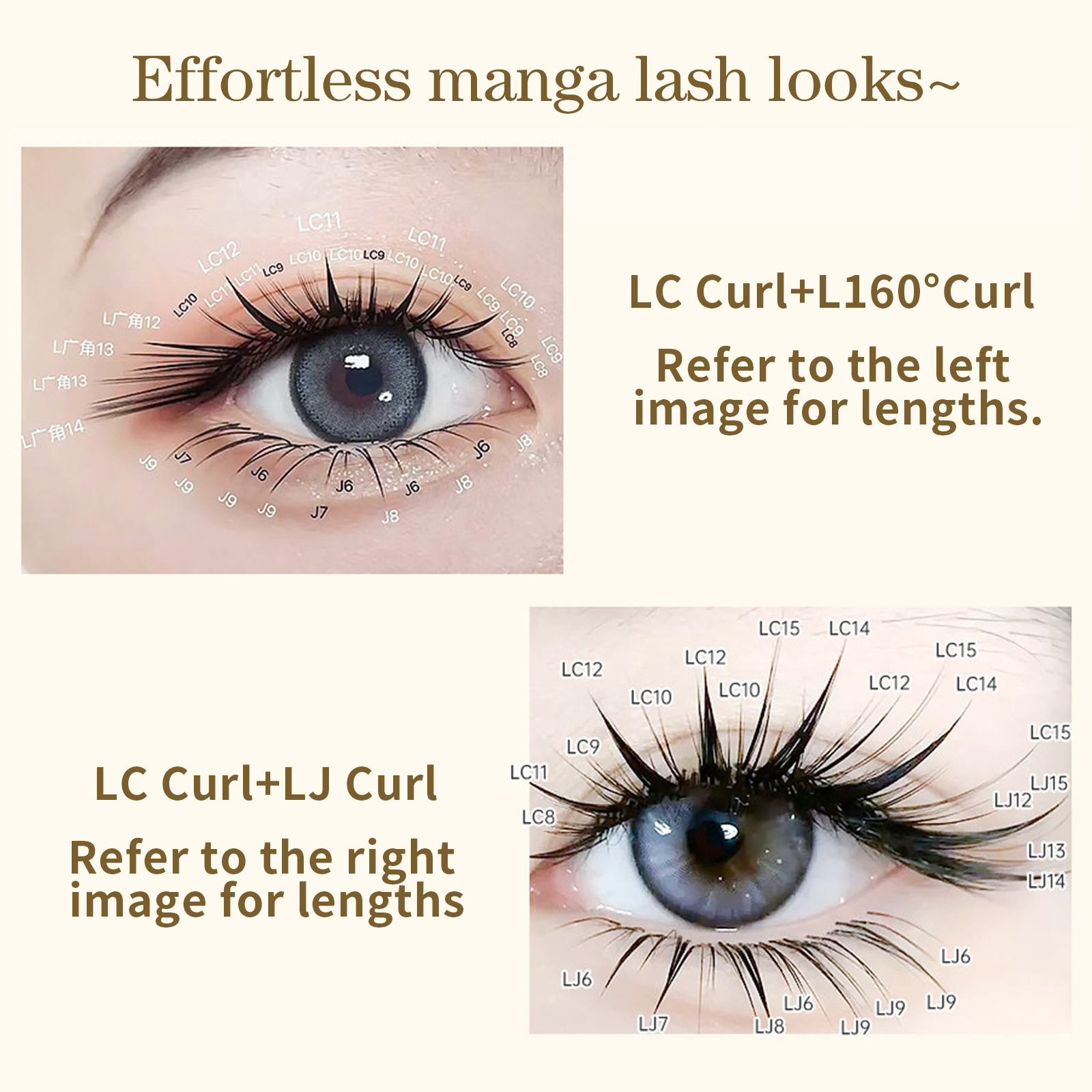 Honey Curled LB LD Camellia Ey - مراجعة Eyelash Extension Japanese وسعره