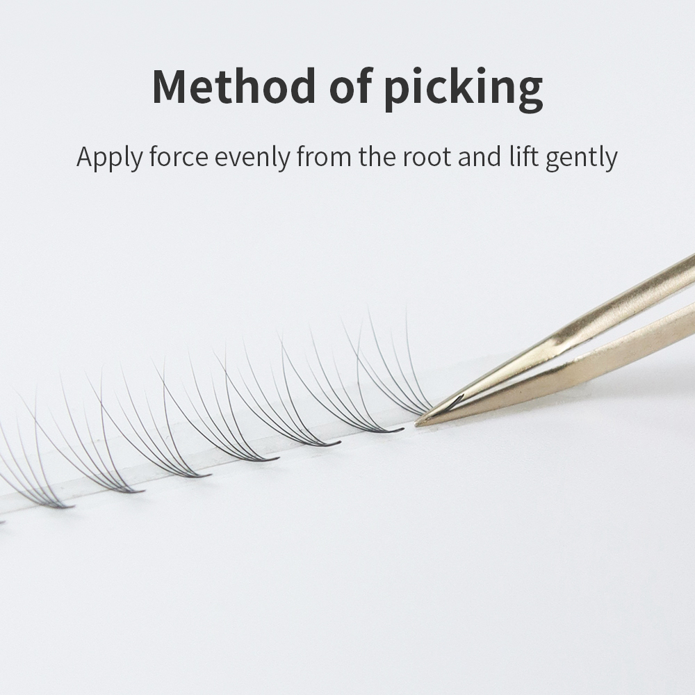 GLAMLASH Premade Volume Fan Ey - مراجعة Eyelash Extension Mega Volume وسعره
