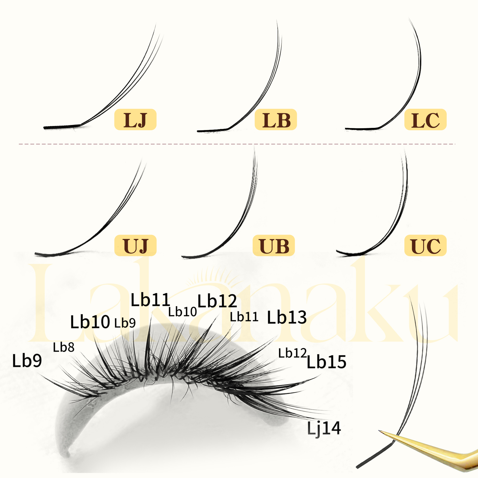 Abonnie UJ UB UC Camellia Lash - مراجعة Eyelash Extension For Men وسعره